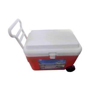 Ισοθερμικό ψυγείο παραλίας - Τρόλεϊ - 50L - 495008