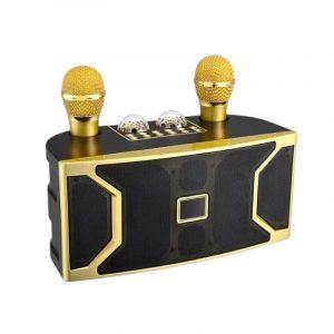 Ασύρματο ηχείο Bluetooth με 2 μικρόφωνα Karaoke - YS-211 - 887189 - Gold