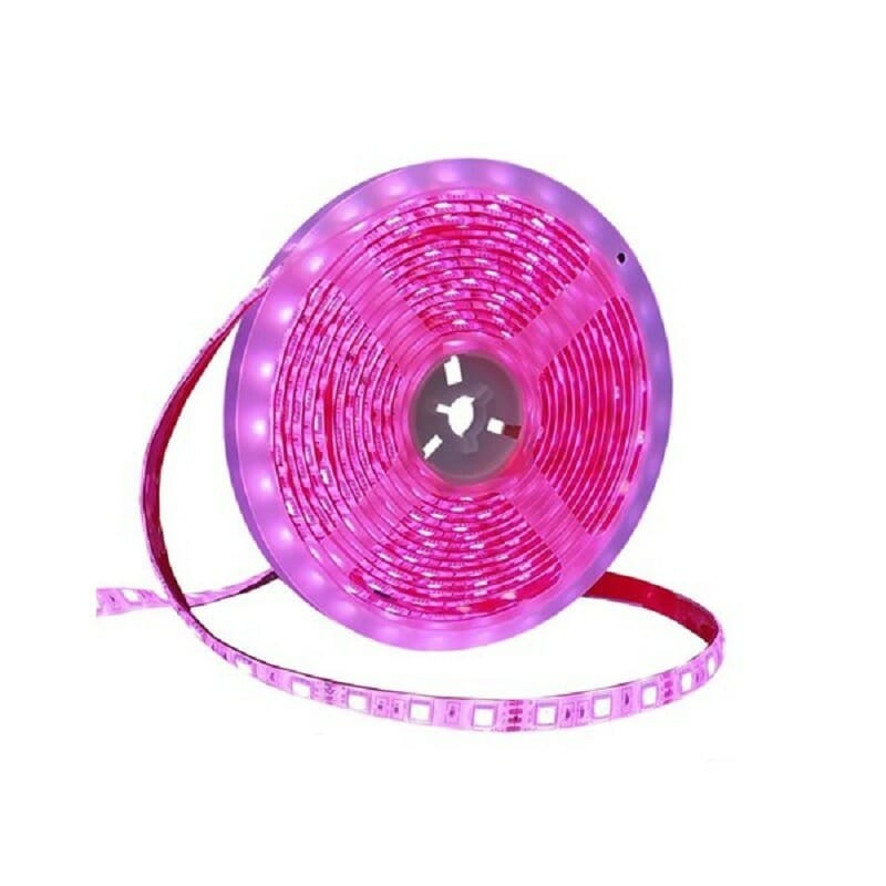 LED tape - LED Strip - IP65 - 5m - Pink - 891207