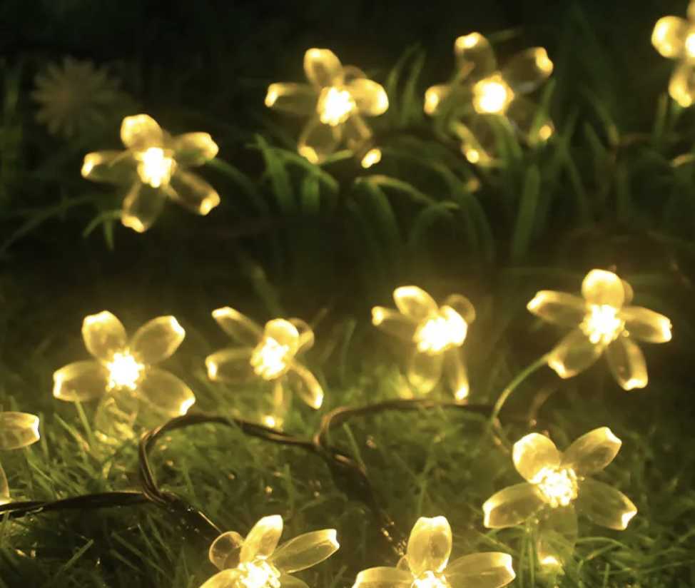 3551d9c2493021da7644e54463795aa3