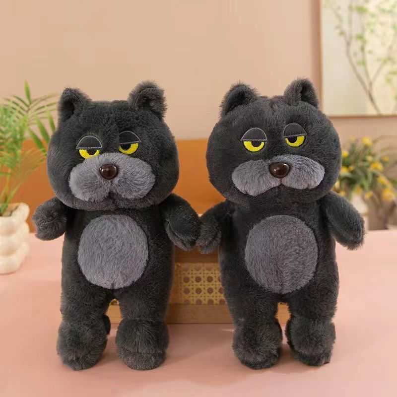 8dd853012ba02009caa660caf103eb25