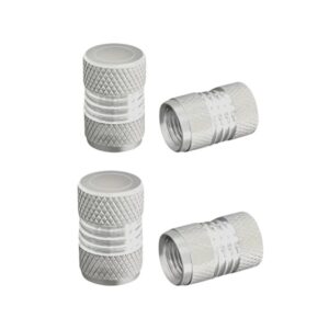 Καπάκι βαλβίδας ελαστικών αυτοκινήτου - R-Z17109-4U - 140526 - Silver