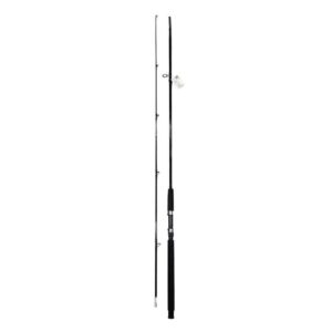 Καλάμι ψαρέματος - Δίσπαστο - 3.0m - 830768